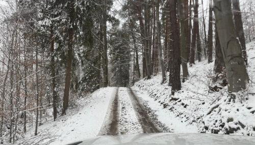 Chatka na Skraju Lasu - Foto 3