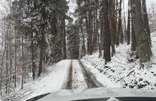 Chatka na Skraju Lasu - Foto 3