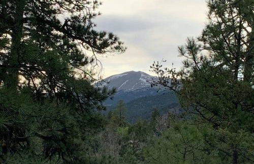 Twin Pines Casita - Big Yard, View, Porch, Hot Tub, & Charm - Foto 28