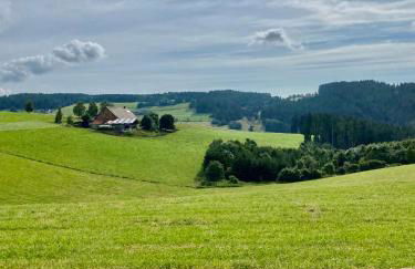 Exklusive 82 qm Loftwohnung mit Tiefgarage und Süd-Balkon zentral - Foto 39