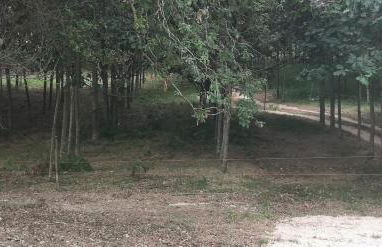 Quinta do Soldado - Foto 55