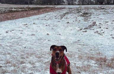 Borthwick Farm Cottage Pottery - Foto 25