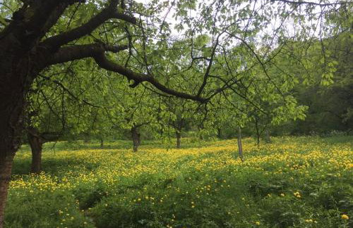 Feriendomizil Taupadel - Foto 32