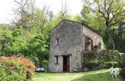 Porcaticcio - Foto 17