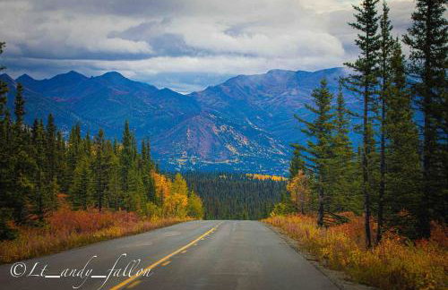 Northern Lights Log House w/ Sauna - Foto 35