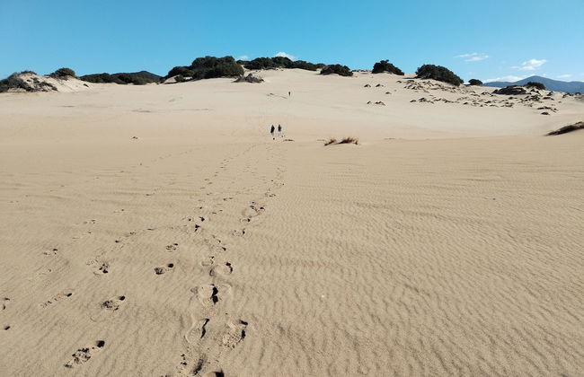 a Vacation That Becomes a Dream - Photo 32