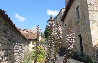 Demeure VERTEUILLAISE - Foto 44