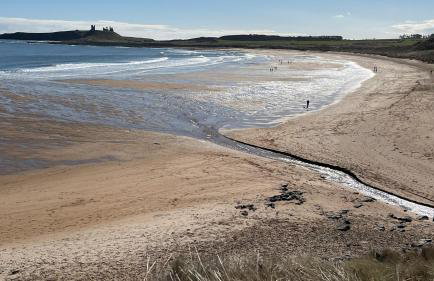 St Hilda Beach Hut Alnmouth - Foto 10