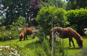 3 Zi. 30 Min. von Hamburg, Landhaus Wohnung - Foto 18
