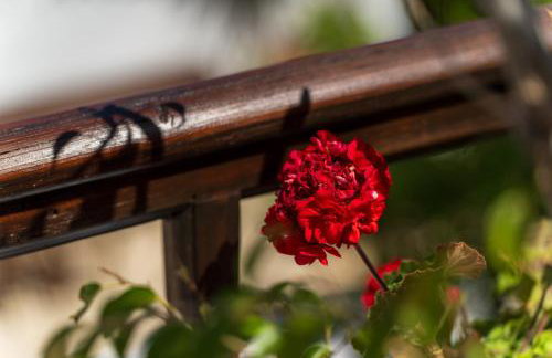 Ilianthos Traditional Maisonette - Foto 15