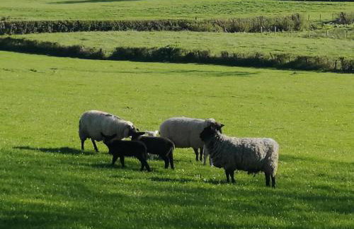 Knockninny Barn at Upper Lough Erne, County Fermanagh - Foto 37