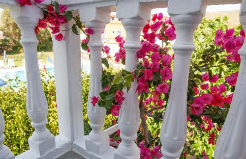 Dina Studios - Photo 47