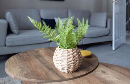 Colinsburgh House - Foto 34