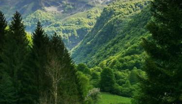 Le Nid de Laly - Foto 5