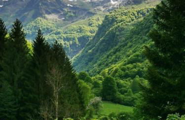 Le Nid de Laly - Foto 5