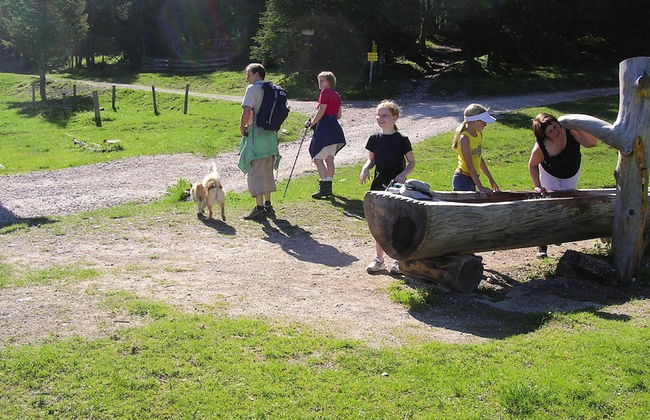 Apartment in Wildschonau by Schatzberg Lift - Photo 9