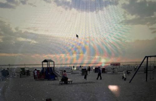 Seestern am Naturstrand - Foto 7