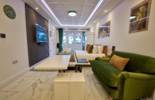 Luxury Studio in Wembley - Foto 51