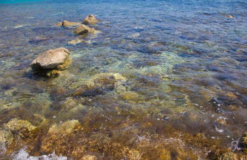 Residence Esmeraldo - Foto 17