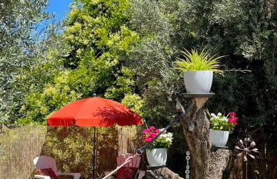 Cuevas de la Paz - Cave House Holidays - Foto 13