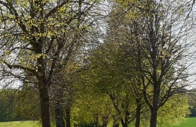 Holiday Apartment Auszeit - Photo 23