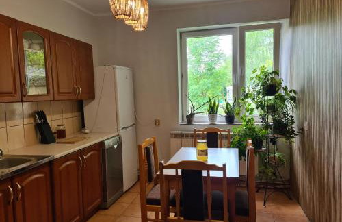 U Judyty na Ponidziu Gospodarstwo Agroturystyczne - Foto 3