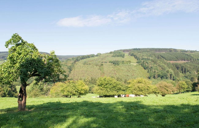 House in Moulin du Ruy With Forest Views - Photo 38