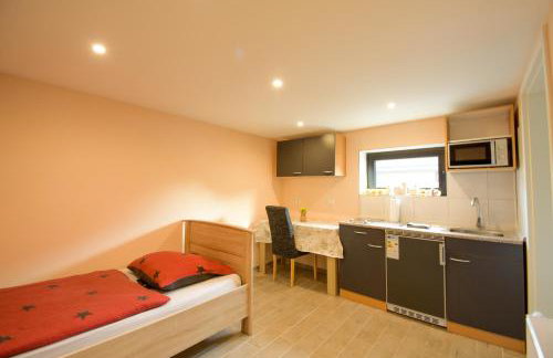 Mainzimmer - Business Apartments - Foto 59