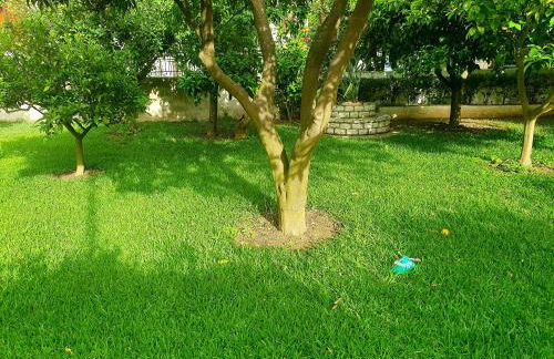 Daglas Summer House - Foto 7