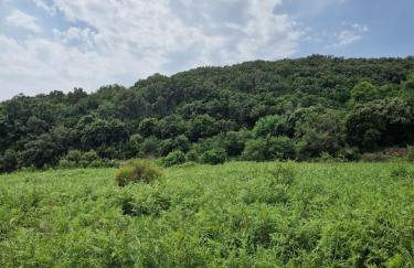 Lovely Apartment Kampor - Foto 20