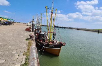 Lichtblick - Photo 33