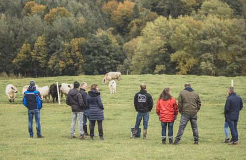 Garnecker Galloways - Foto 12