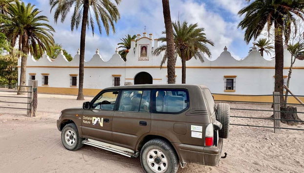 Tour en 4x4 por el Parque Nacional de Doñana - Foto 4