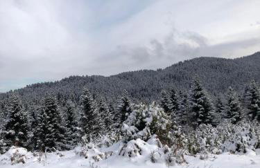 Παραδοσιακή πέτρινη κατοικία στην Βλάχα Ελάτης - Foto 30