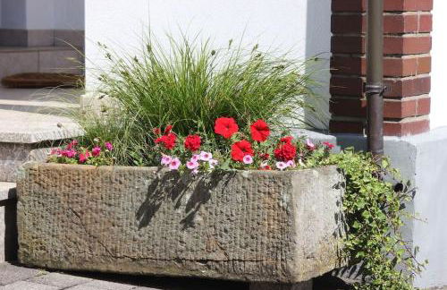 exklusive Ferienwohnung - Foto 19