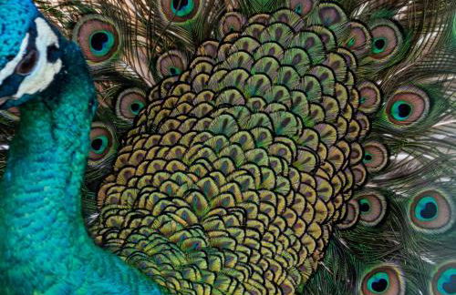 Quinta da Tapada - Foto 55