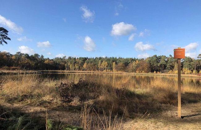Grandeur Farmhouse in Dwingeloo at a National Park - Foto 24