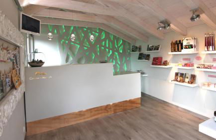 Casas Ordesa y Casa Altemir - Foto 8