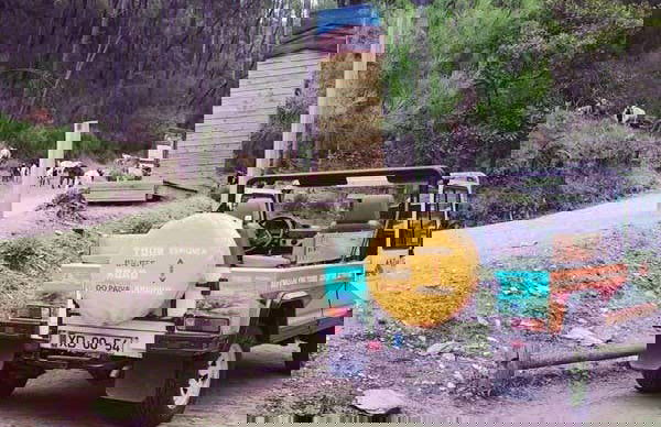 Paiva Walkways & 516 Arouca Bridge Day Trip - Photo 7