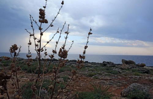 Caletta house - Foto 23