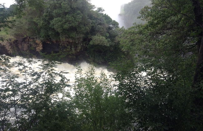 Togara Cabin - Foto 13