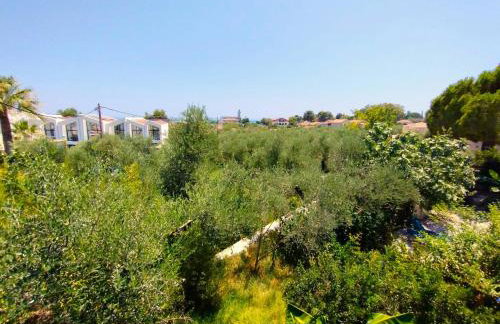 Blue Studios by Irene - Photo 48