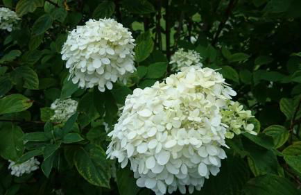 Appartementhof Stadler - Foto 76