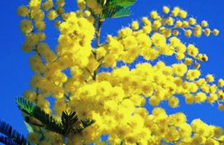 Appartement fonctionnel - Foto 19