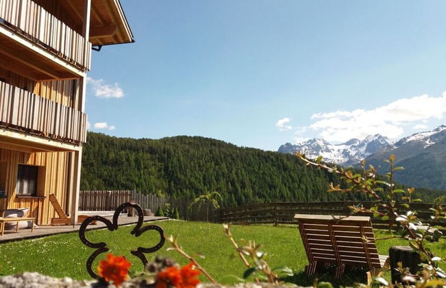 Biologische Pension & Boerderij "de Veitenhof" - Foto 33