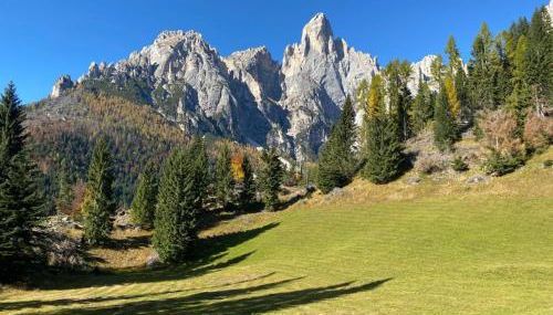 Chalet Pra Dell OSTIO Primiero San Martino di Castrozza - Foto 5
