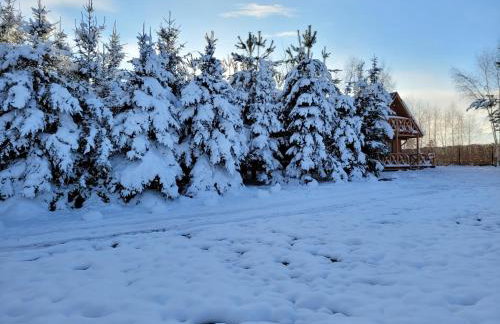 Dom pod brzozą-urowo - Foto 23