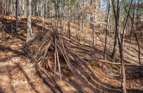 Modern 3-BR Townhome w Private Backyard Near RTP - Foto 62