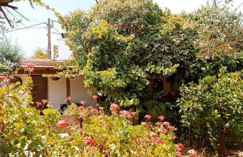 Monte das Andorinhas Alentejo - Foto 39