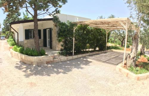 WHITE POOL 5P Matino - Gallipoli - Foto 5